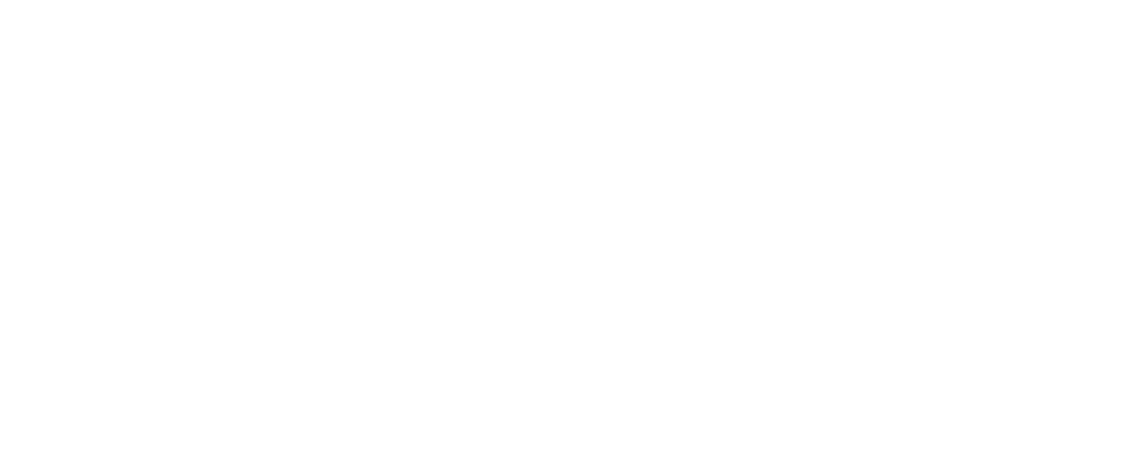 The Brion Agency